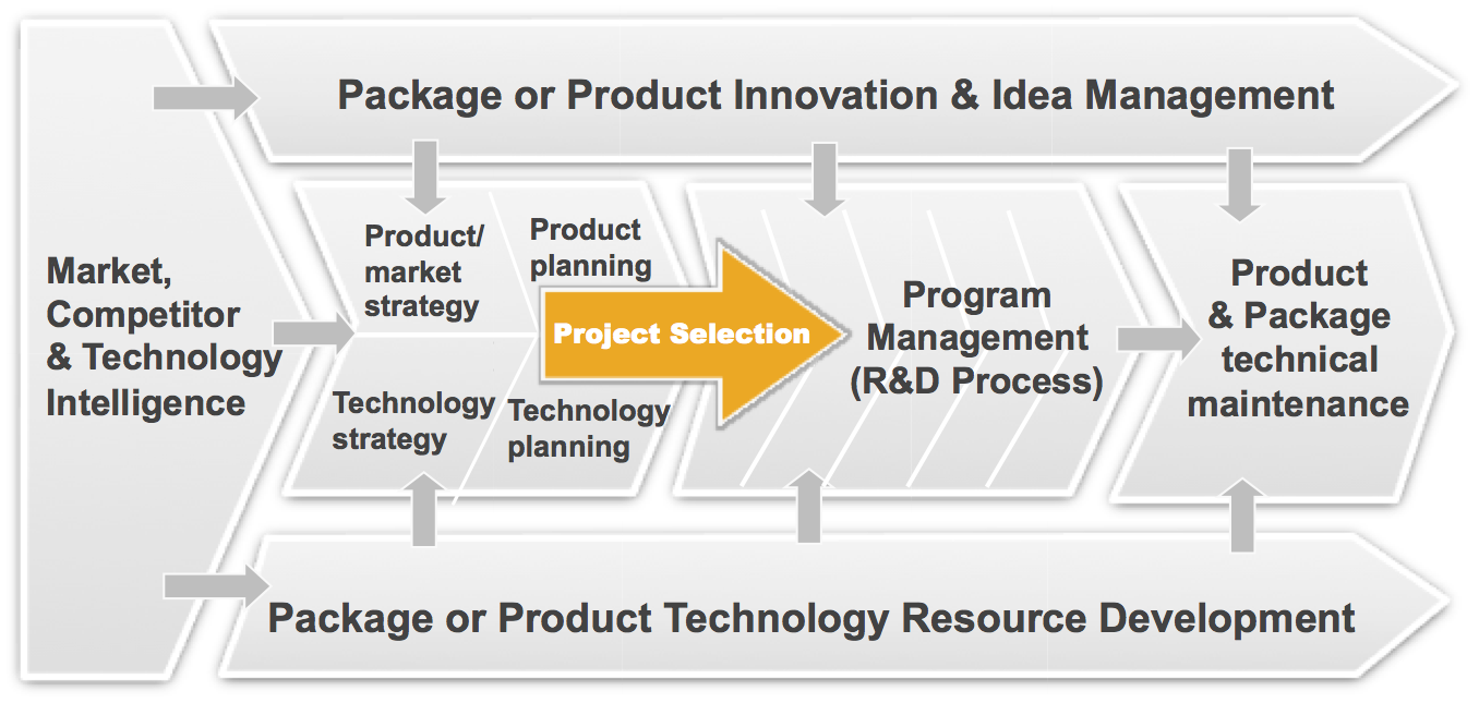 technology strategy project portfolio management innovation management